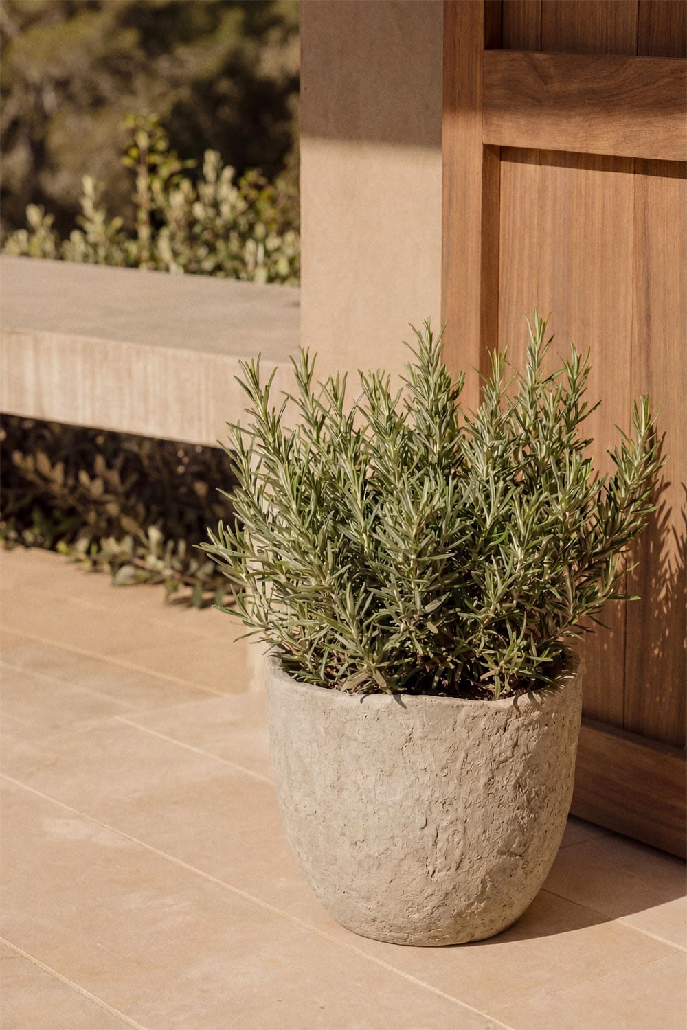 Vaso de flores exterior em cimento Nuria, imagem de galeria 1