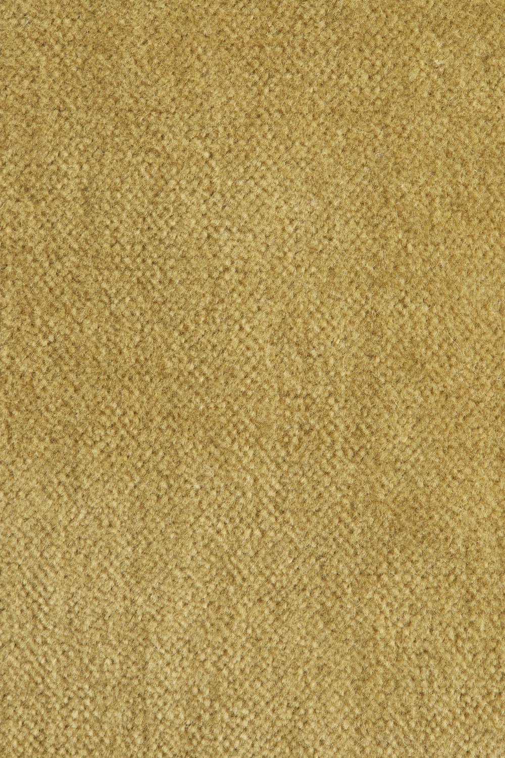 Coussin carré 40x40 cm en coton Enid, imagem de galeria 7