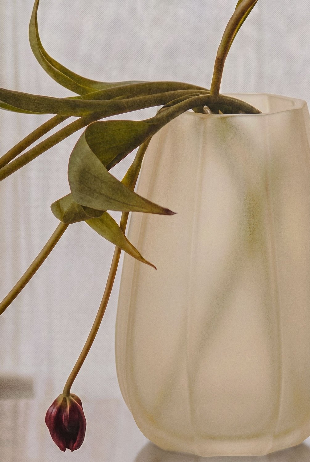 Vaso em vidro Pynora, imagem de galeria 2