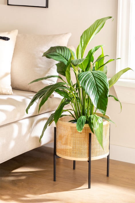 Rattan Plant Pot Daek