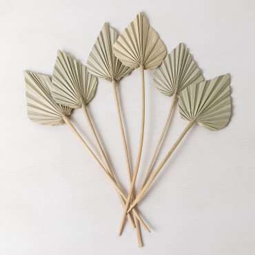 Pack Of 6 Decorative Dried Branches Beliefe Bamboo Green - Sklum