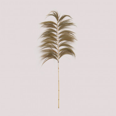 Pack Of Dry Branch Rayung 250 Cm Natural Colors - Sklum