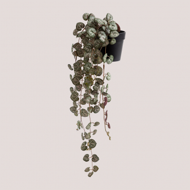 Ceropegia Decorative Artificial Hanging Plant Dark Green - Sklum