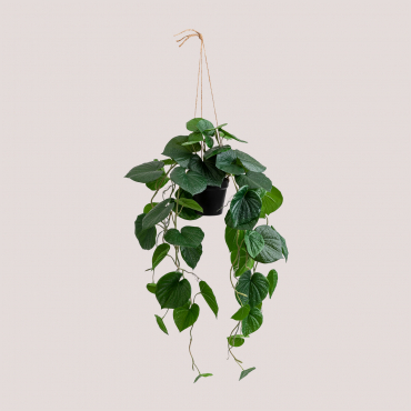 Decorative Artificial Hanging Plant Pothos Dark Green - Sklum