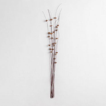 Pack Of 10 Dried Decorative Zinia Branches Brown - Sklum