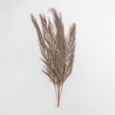 Pack Of 6 Nereid Decorative Dry Branches Brown Wheat - Sklum