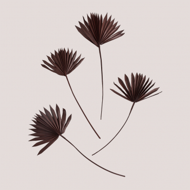 Pack Of 4 Urpek Decorative Dried Branches Brown Coffee - Sklum