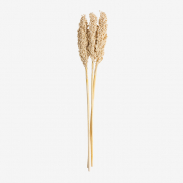 Pack Of 3 Marbia Decorative Branches Beige Cream - Sklum