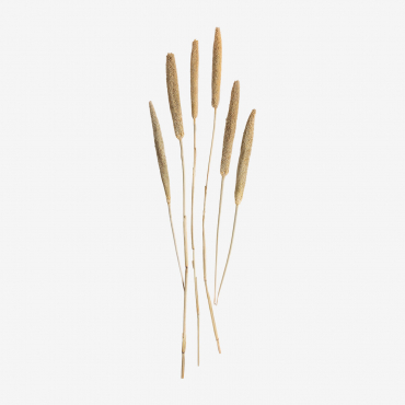 Koty Decorative Bouquet Beige Cream - Sklum