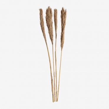 Pack Of 4 Pampy Decorative Dry Branches Brown Wheat - Sklum