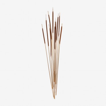 Stoilan Pack Of 10 Decorative Dried Stems Rusty - Sklum