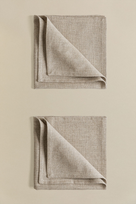 Set of 2 Linen and Cotton Napkins EDERNE