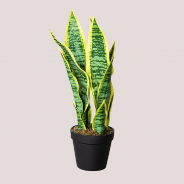 Decorative Artificial Plant Sansevieria 45 Cm ↑45 Cm - Sklum