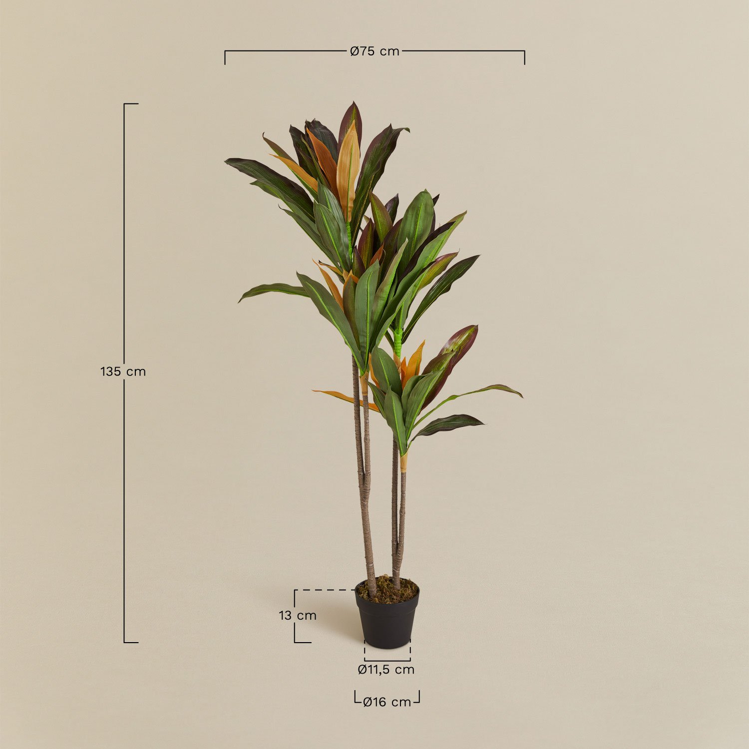 Artificial decorative plant Dracaena, MEASURES