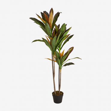 Artificial Decorative Plant Dracaena ↑135 Cm - Sklum