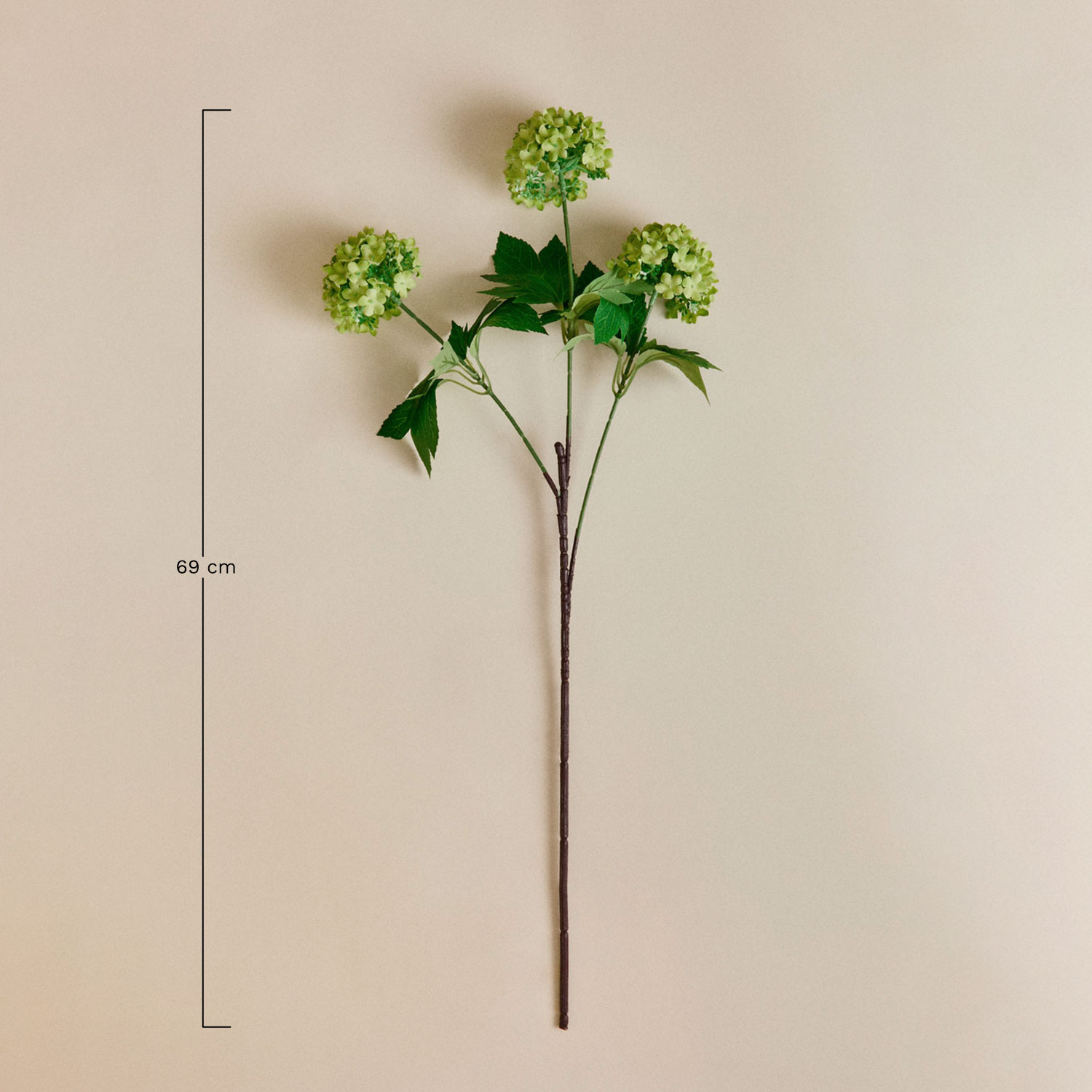 Atlantia decorative bouquet, MEASURES