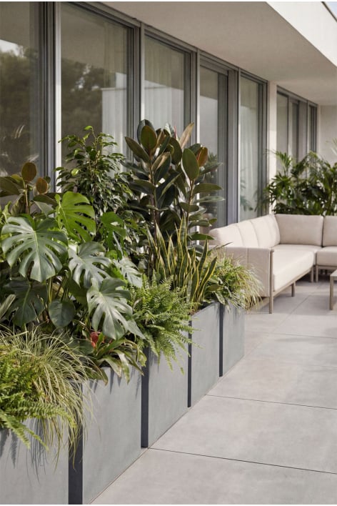 Rectangular outdoor cement planter Neyrua