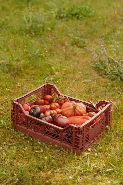 Doli foldable and stackable plastic box