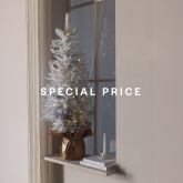 Imagen representativa de la categoría Special Price Navidad