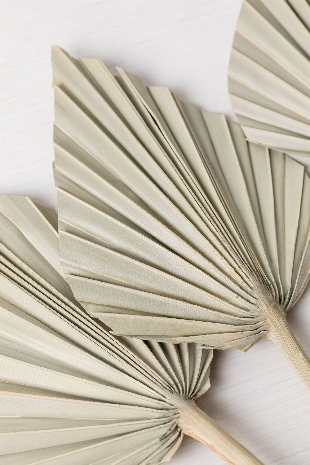 Pack of 6 Decorative Dried Branches Beliefe, gallery image 3