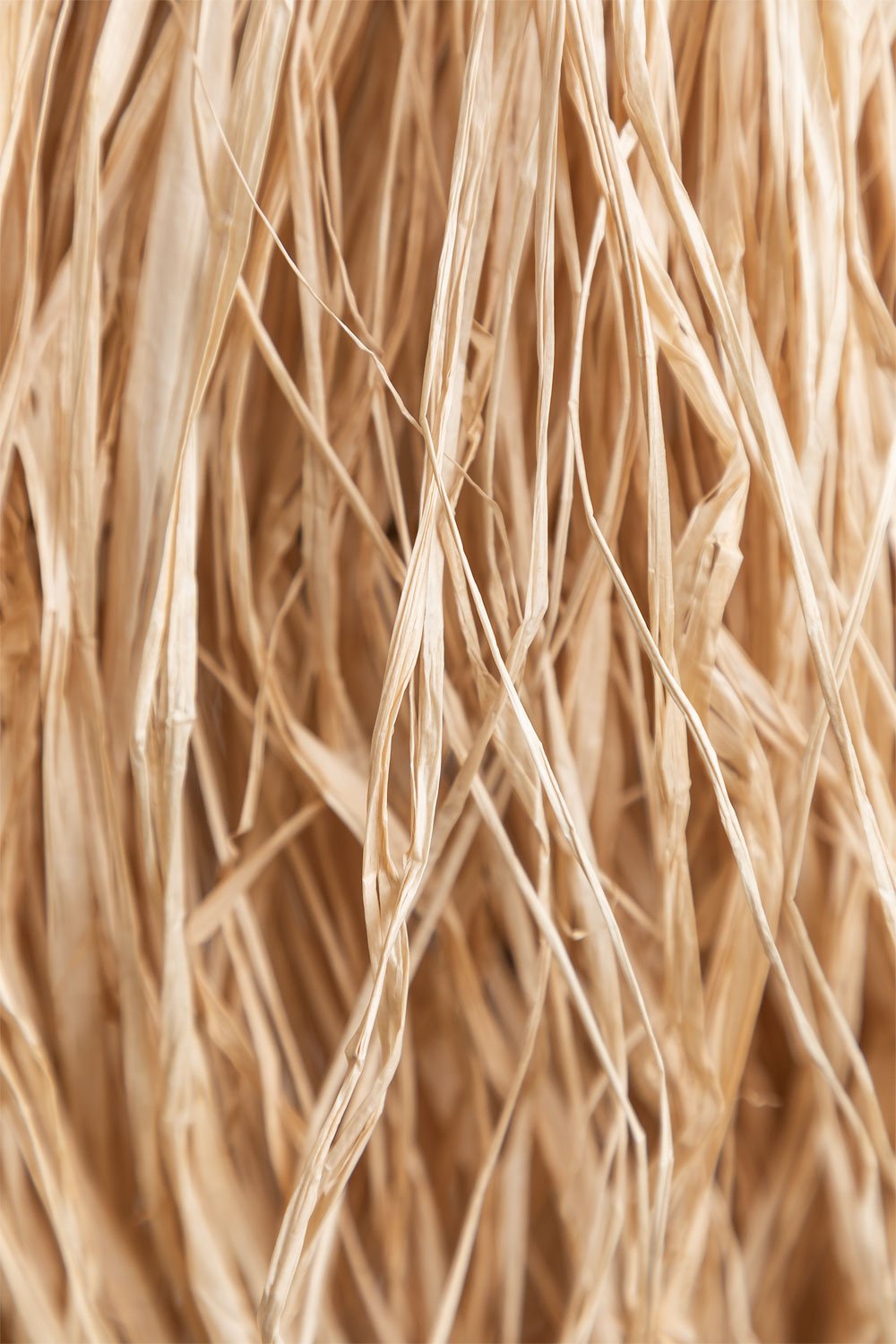 Shade for Ceiling Lamp Codrys , gallery image 4