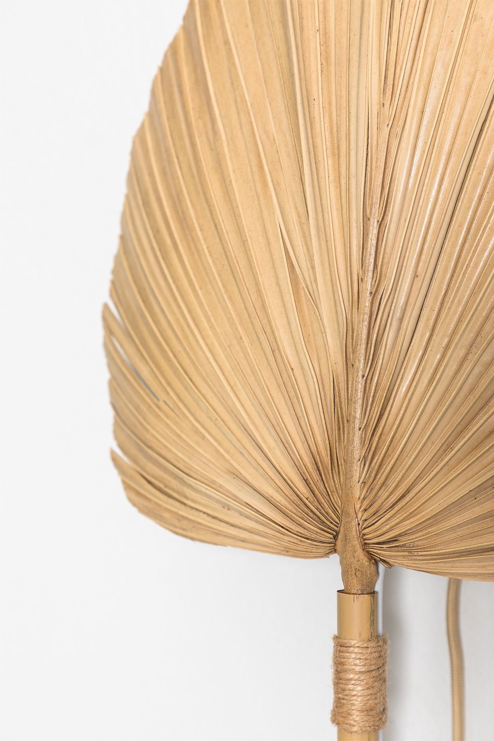 Pruyans bamboo wall lamp, gallery image 5