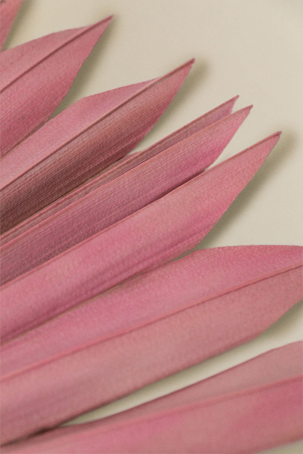 Pack of 4 Urpek decorative dried branches, gallery image 4