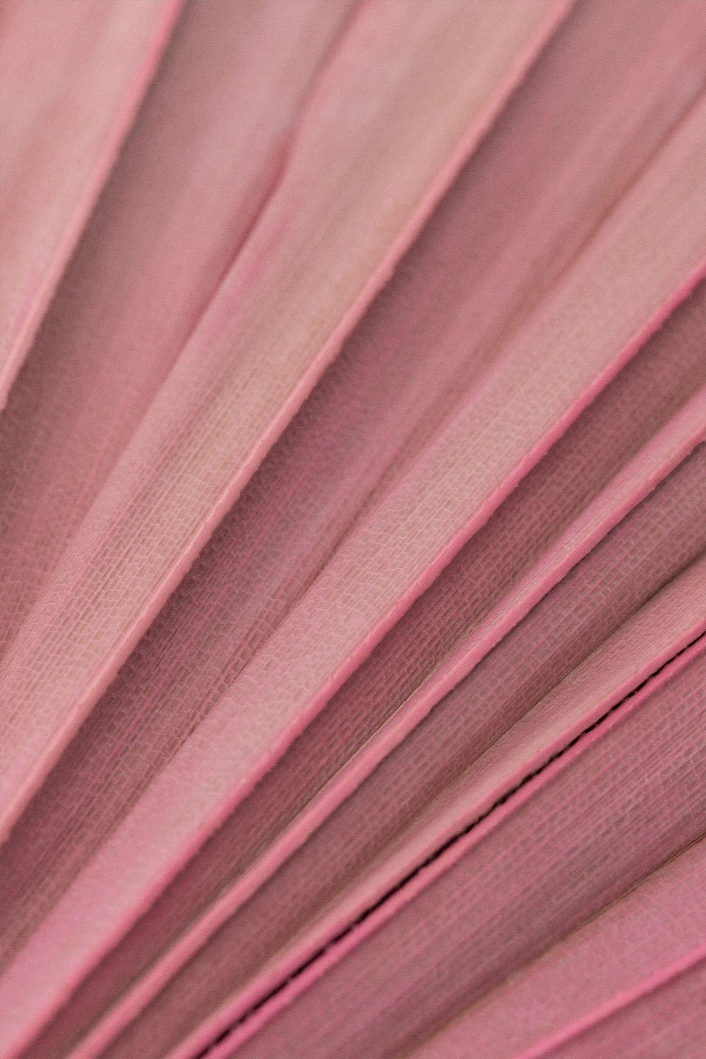 Pack of 4 Urpek decorative dried branches, gallery image 5