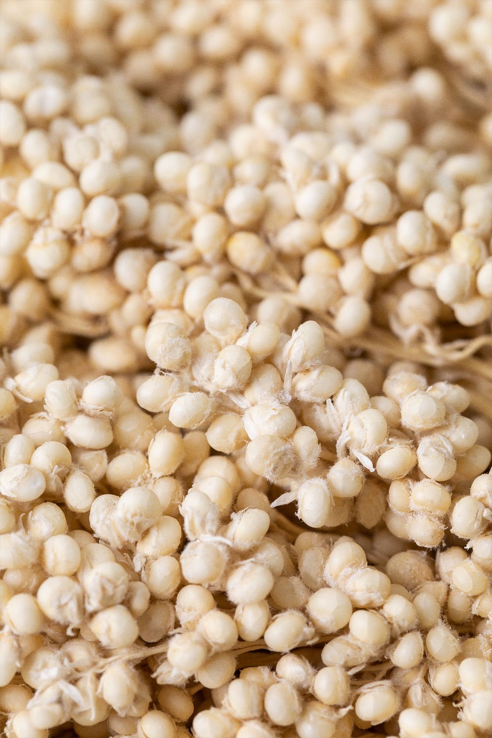 Pack of 3 Marbia decorative branches, gallery image 5