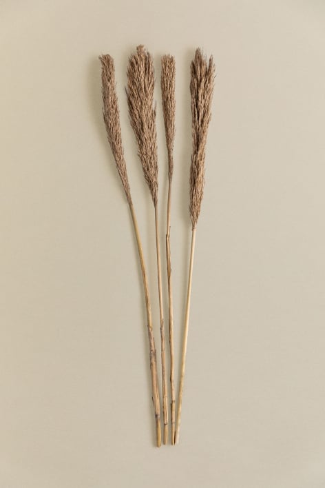 Pack of 4 Decorative Dried Stems Pampy