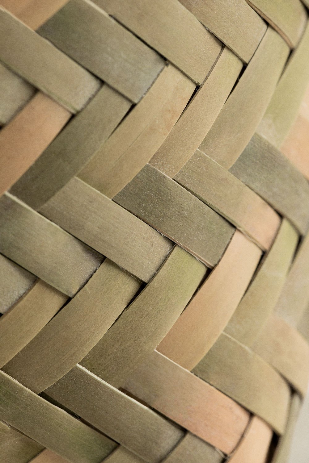 Bamboo Box Aiquina , gallery image 6