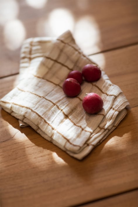 Set of 2 Vernilen cotton napkins