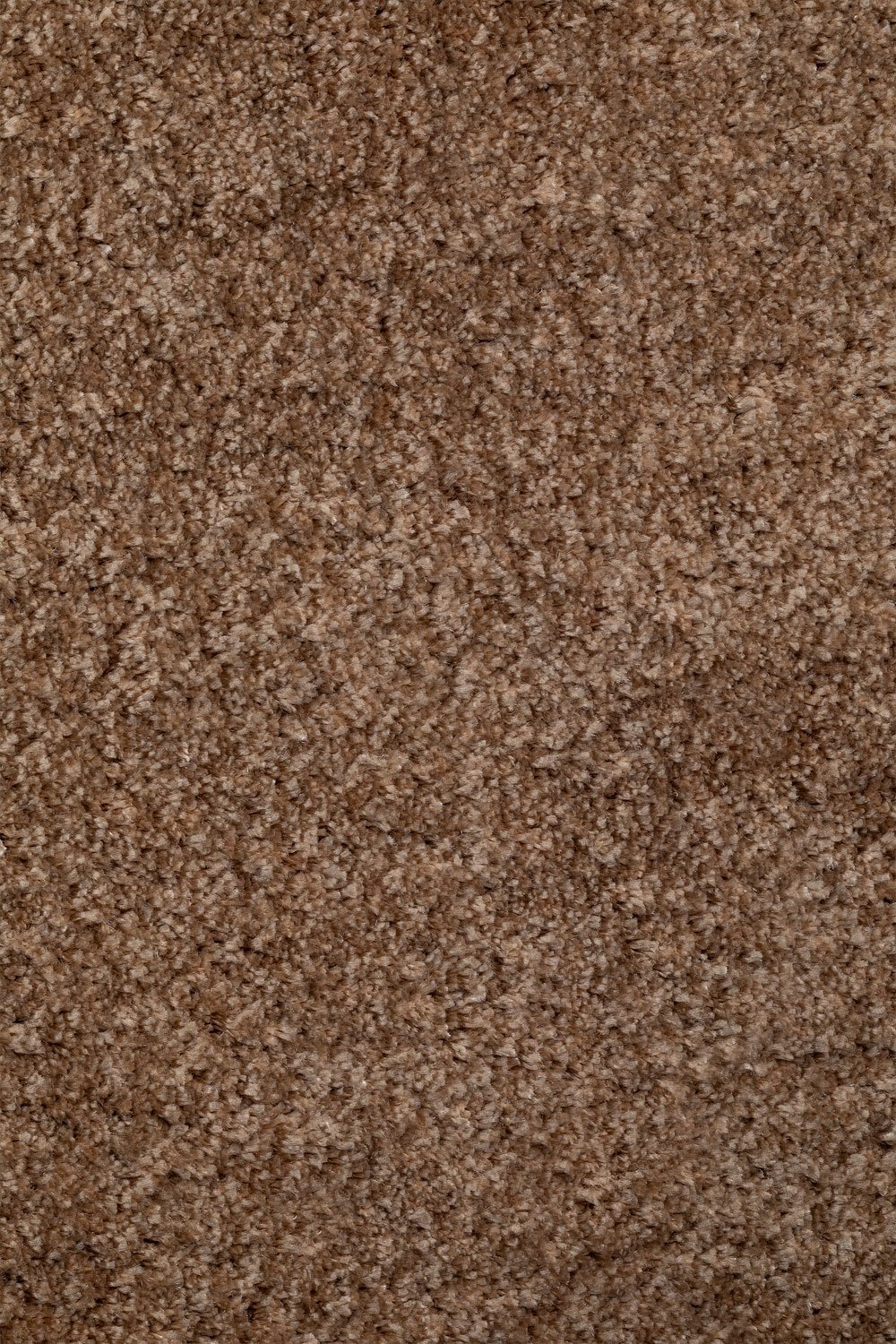 Daroca carpet, gallery image 3