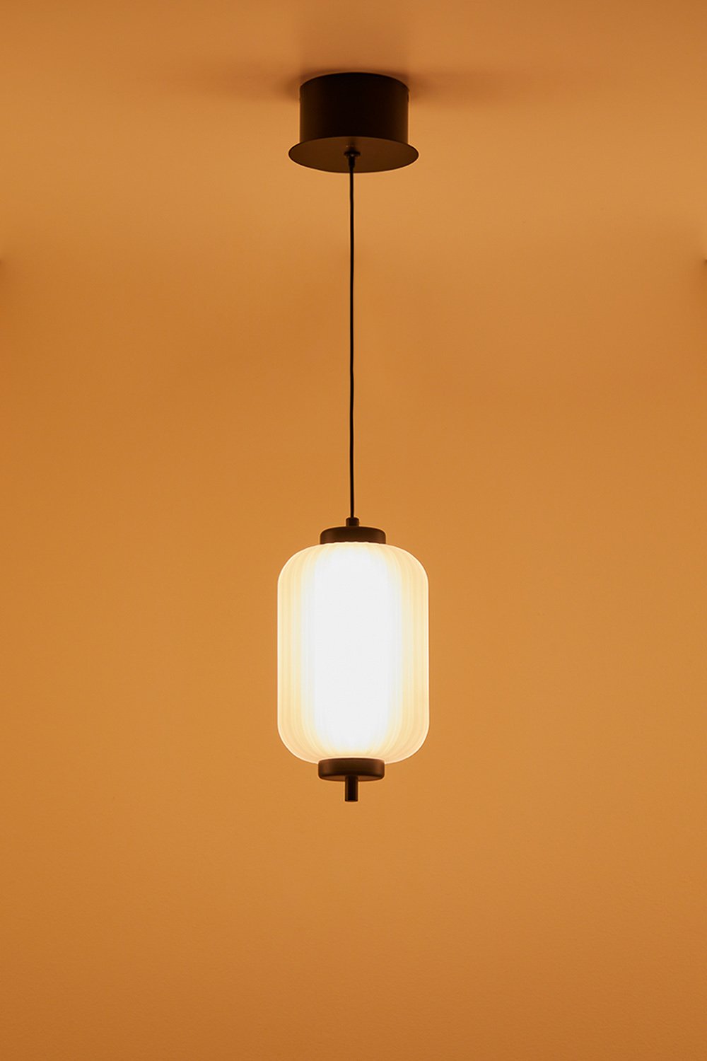 LED hanging ceiling lamp in iron with 1 glass globe Necsar, gallery image 2