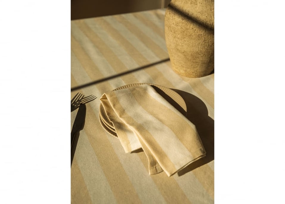 Set of 2 Efarin cotton napkins
