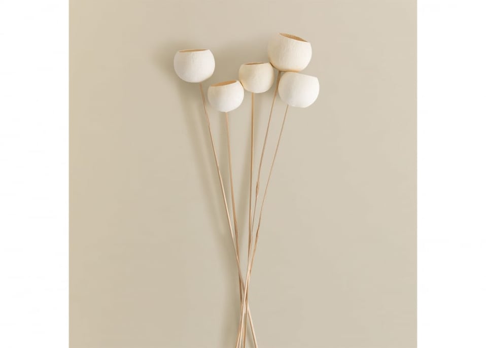 Pack of 5 Aegle decorative dried branches