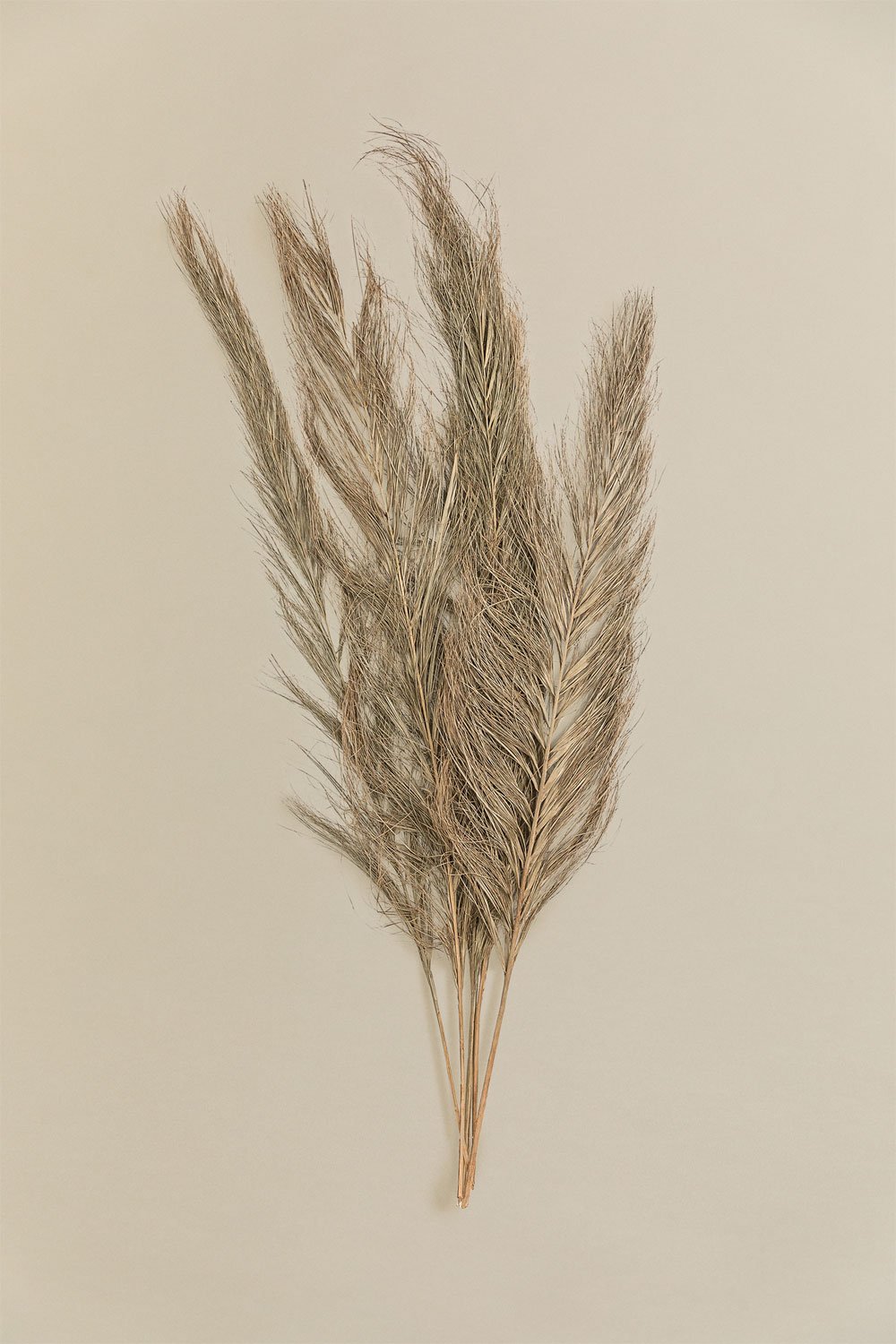 Pack of 6 Nereid Decorative Dry Branches, gallery image 3