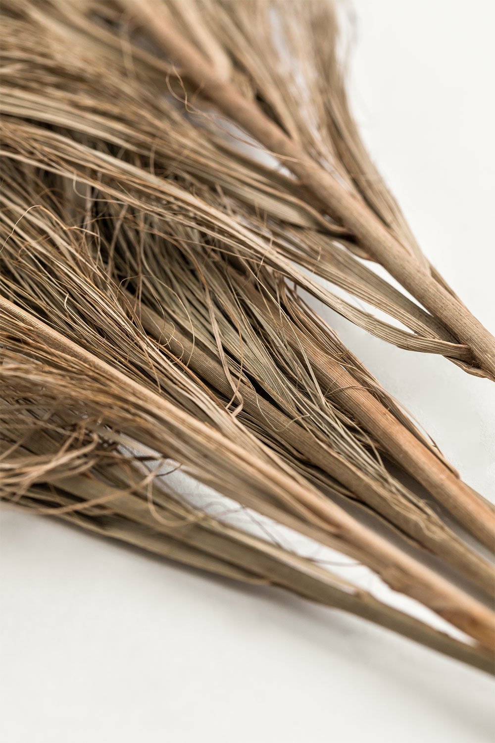 Pack of 6 Nereid Decorative Dry Branches, gallery image 4