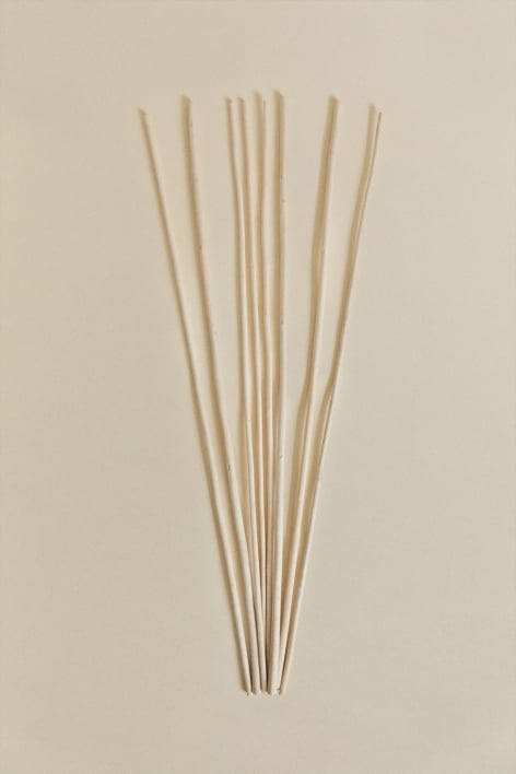 Pack of 8 decorative dried Olitorius branches