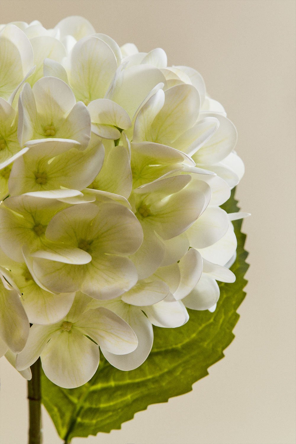 Priscilla decorative bouquet, gallery image 10