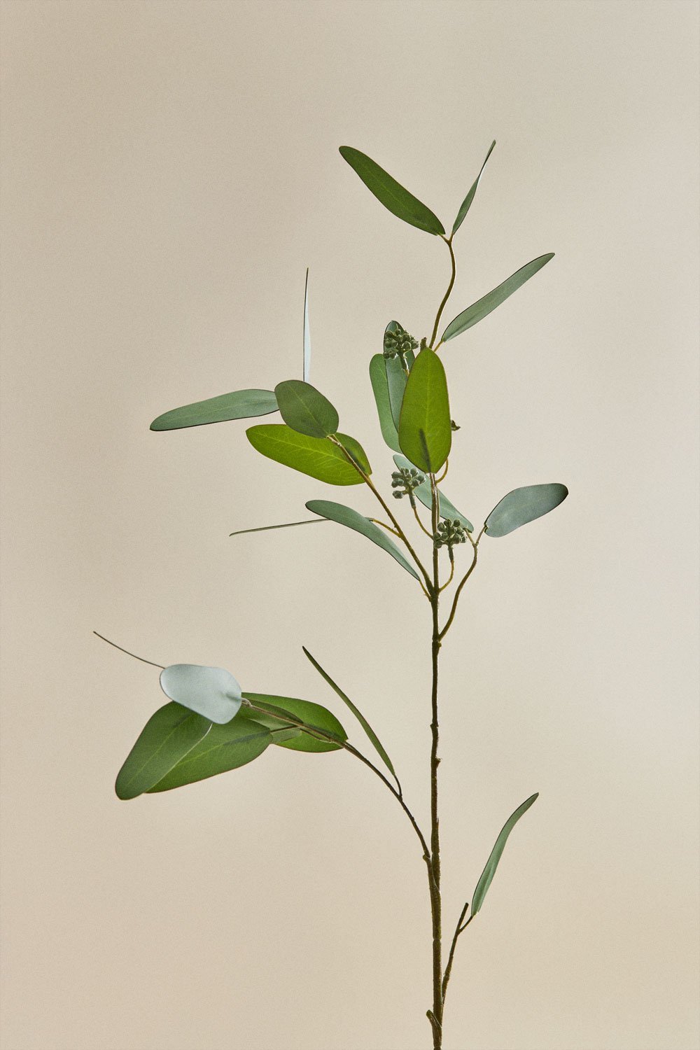 Agavriel decorative bouquet, gallery image 7