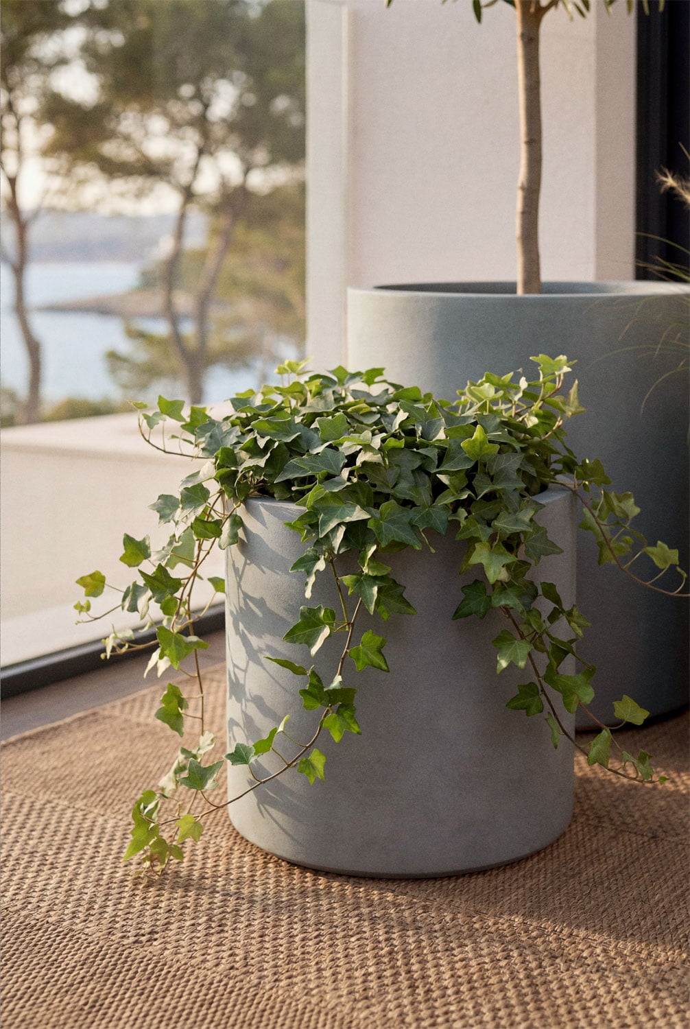 Aurevi outdoor cement planter, gallery image 1