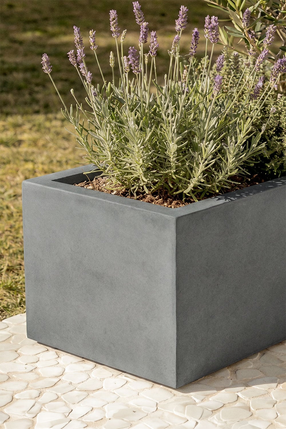 Rectangular outdoor cement planter Sergio, gallery image 2