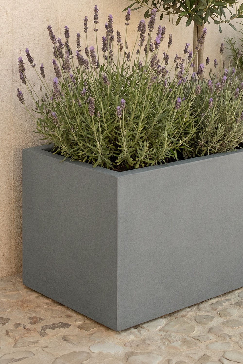 Rectangular outdoor cement planter Sergio, gallery image 2