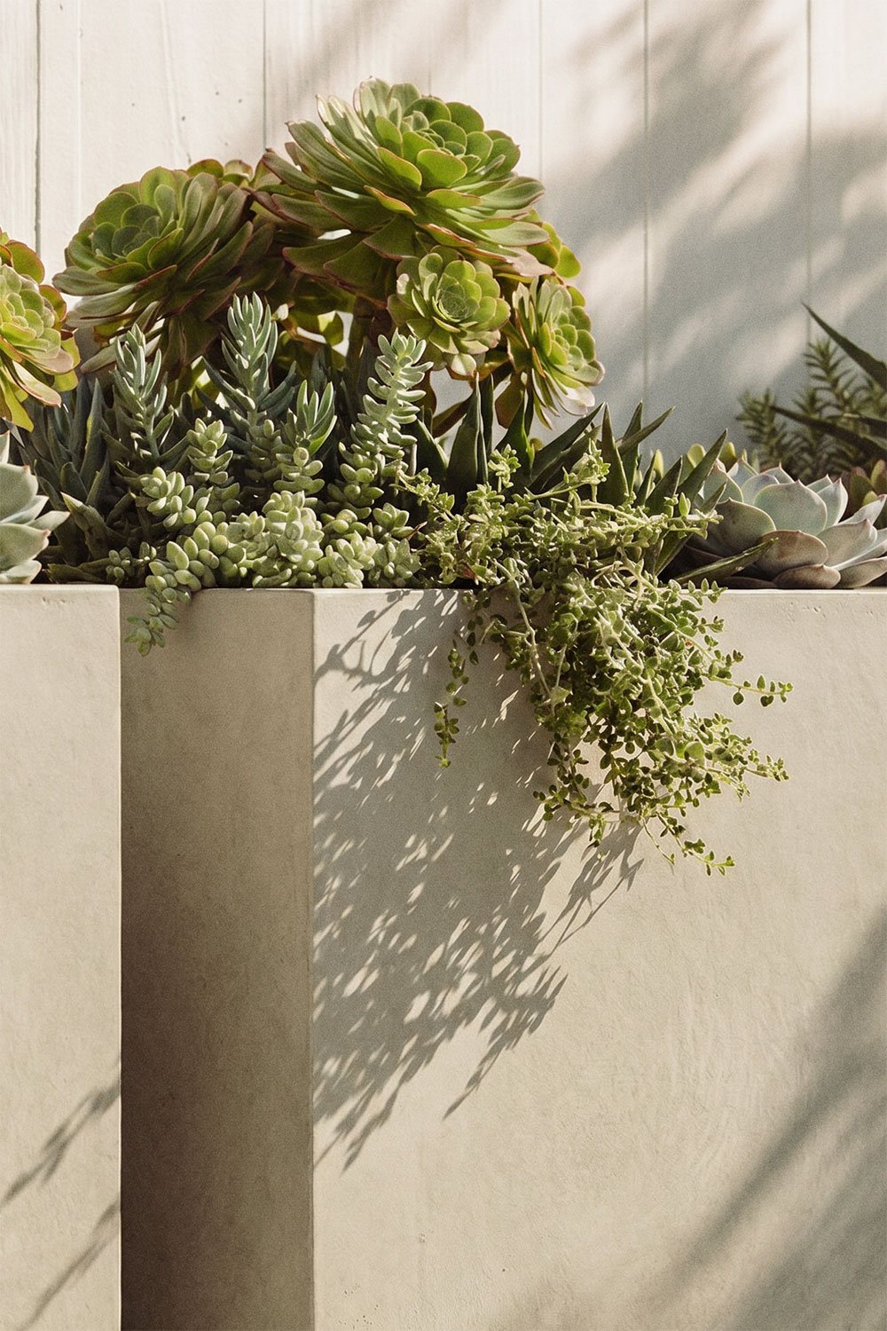 Square outdoor cement planter Lucas, gallery image 2