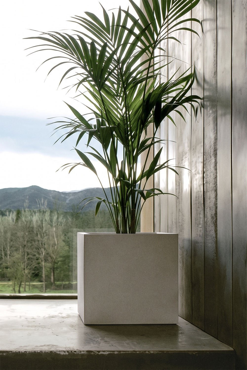 Square cement planter Lucas, gallery image 1